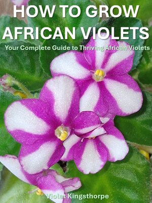 cover image of How to Grow African Violets